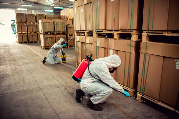 Best Pest Control for Homes  in Walls, MS