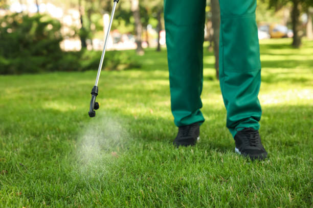 Best Local Pest Control Services  in Walls, MS